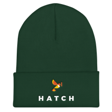 Cuffed Beanie