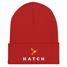 Cuffed Beanie