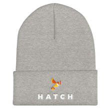 Cuffed Beanie